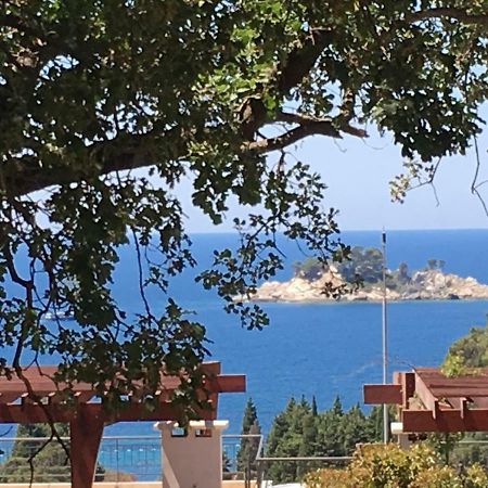 Villa Julia Petrovac Eksteriør billede