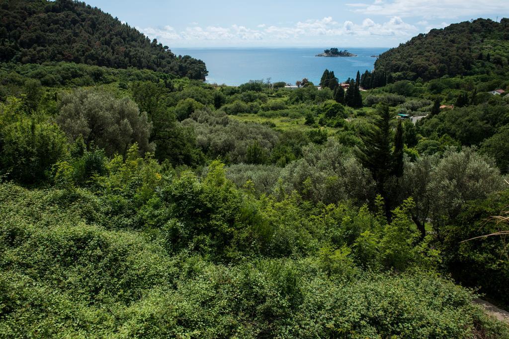 Villa Julia Petrovac Eksteriør billede