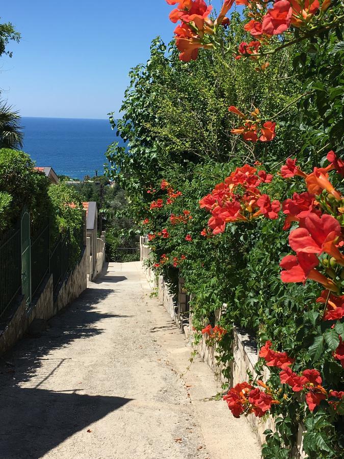 Villa Julia Petrovac Eksteriør billede