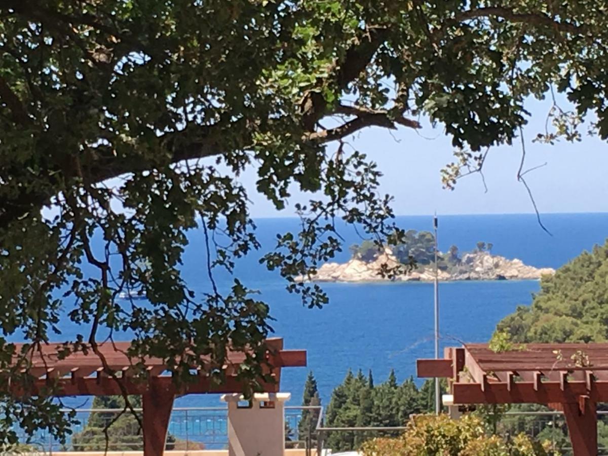 Villa Julia Petrovac Eksteriør billede
