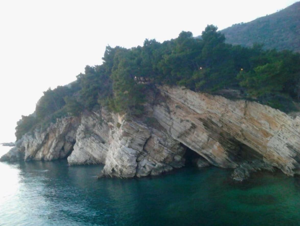 Villa Julia Petrovac Eksteriør billede